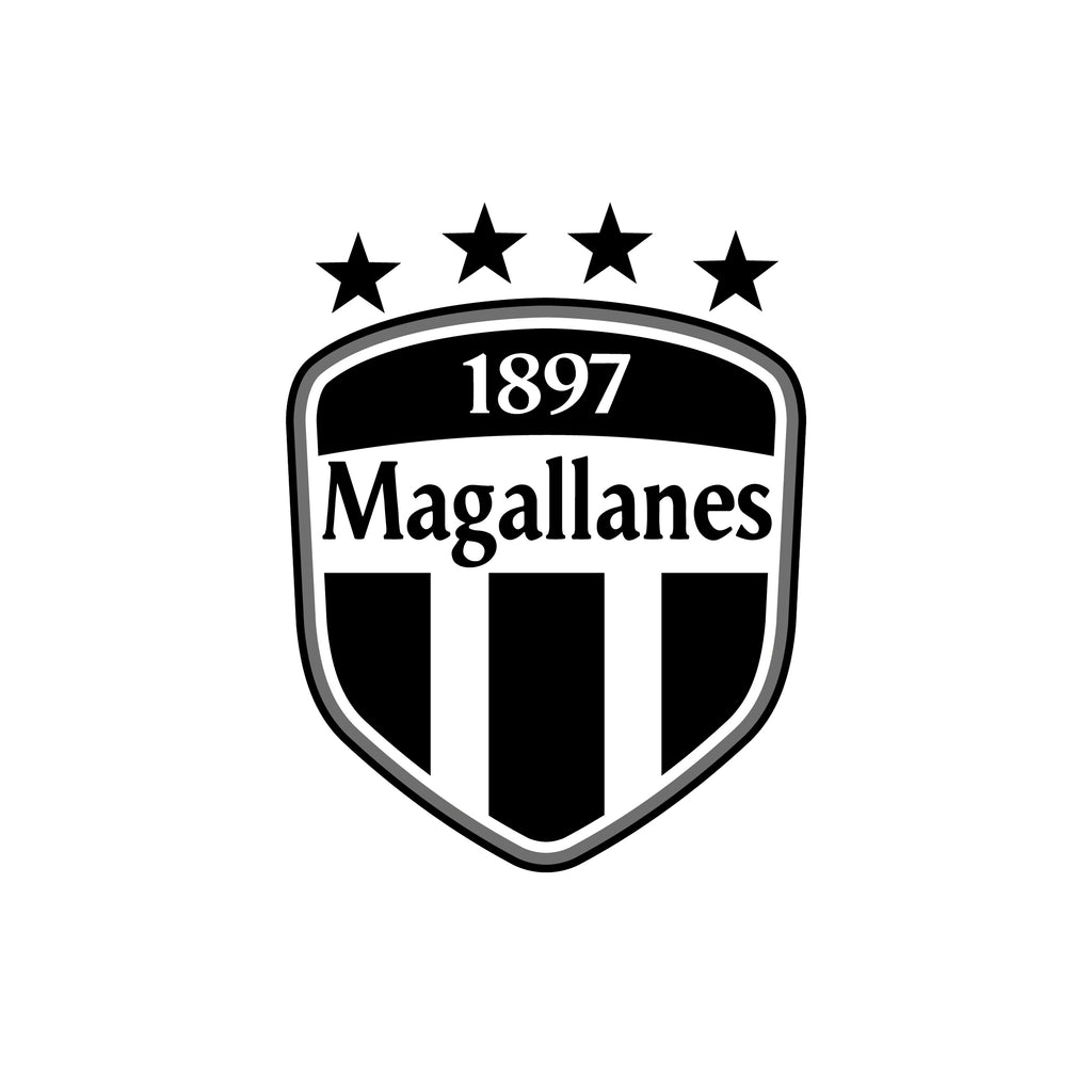 Club Deportivo Magallanes Logosdechile