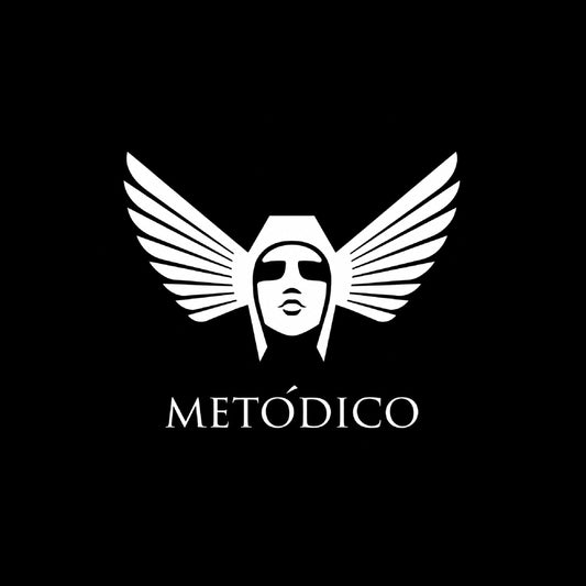 Metódico