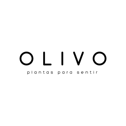 Olivo